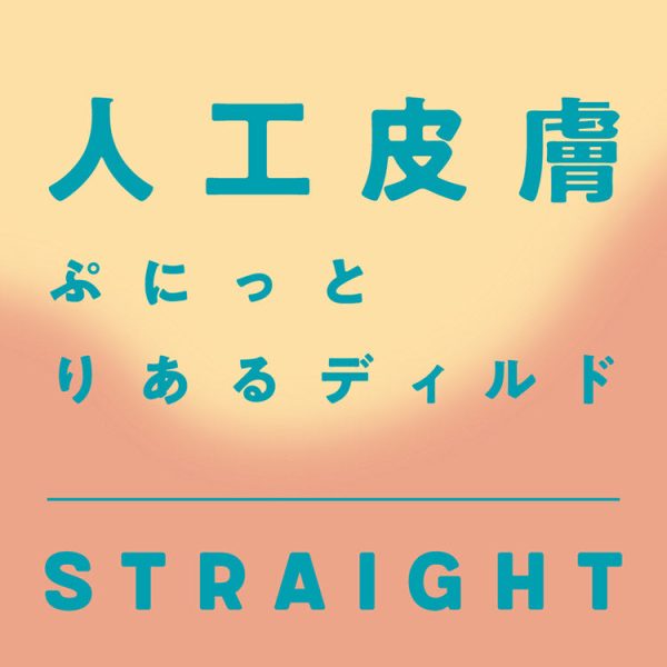 PPP 純国産人工皮膚 PUNITTO 仿真陽巨王 筆直版：圖片 5